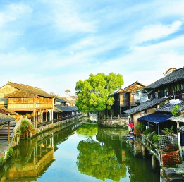 “推動世界各國共同搭乘互聯(lián)網(wǎng)和數(shù)字經(jīng)濟(jì)發(fā)展的快車”